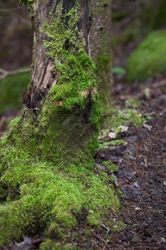 blog photo titled nature