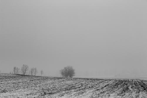 blog photo titled unencumbered