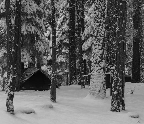 blog photo titled serenity