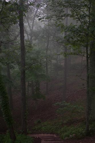 blog photo titled lazybones