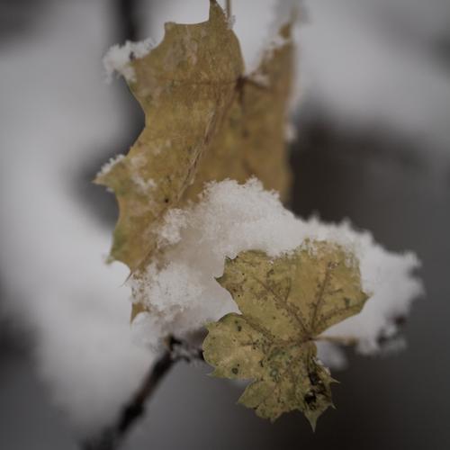 blog photo titled enweave