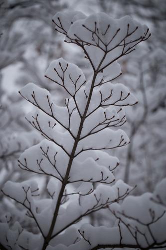 blog photo titled optimism