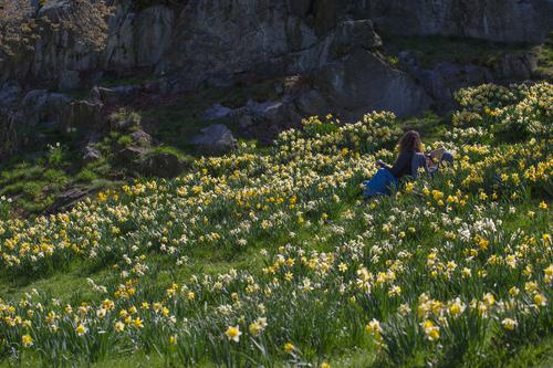 blog photo titled contentment