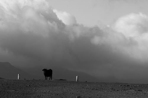 blog photo titled deformed