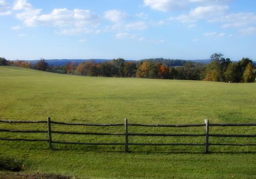 blog photo titled eleven