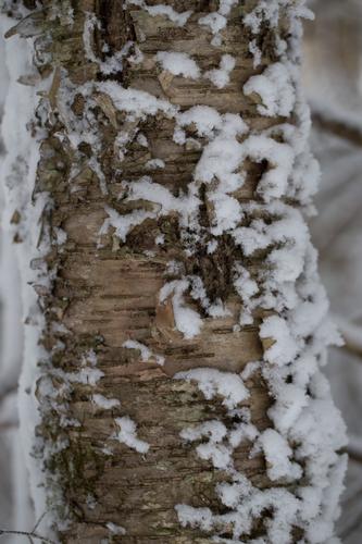 blog photo titled deceased