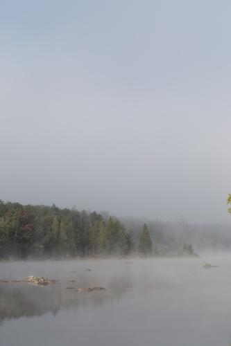 blog photo titled diet