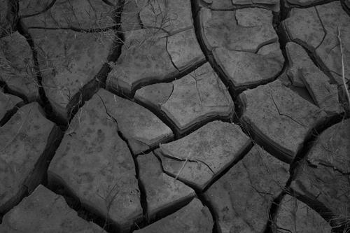 blog photo titled culture