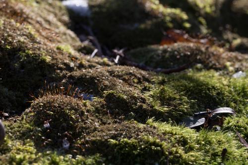 blog photo titled travesty