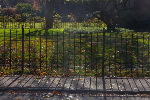 blog photo titled society