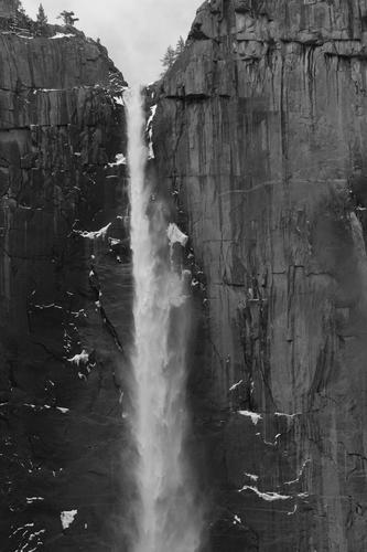 blog photo titled crestfallen