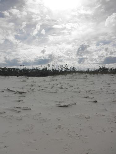 blog photo titled declare