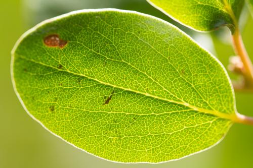 blog photo titled illuminance