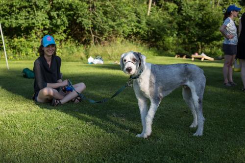 blog photo titled chase-and-chomp