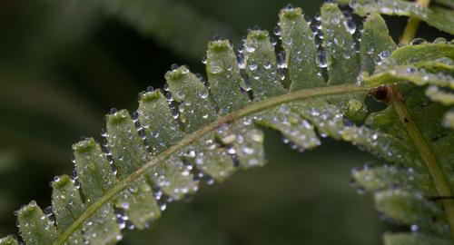 blog photo titled pother