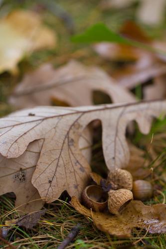 blog photo titled resolution