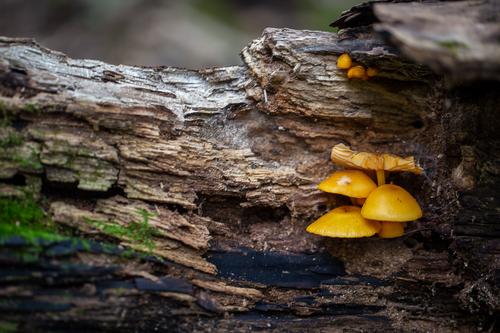 blog photo titled jim