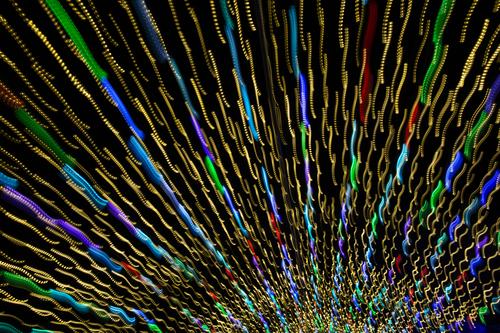 blog photo titled bayou