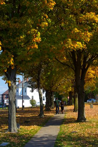 blog photo titled illegible