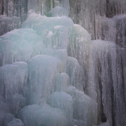 blog photo titled filaments