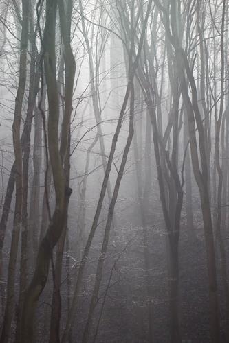 blog photo titled snuggery