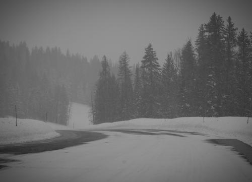 blog photo titled extraction