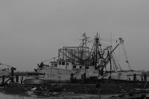 blog photo titled fulsome