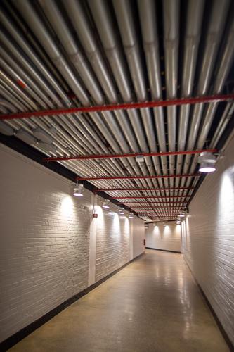 blog photo titled superterranean