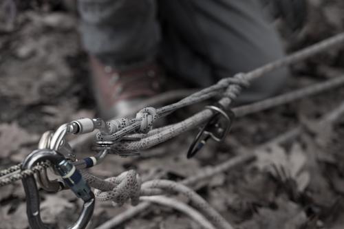 blog photo titled teetotum