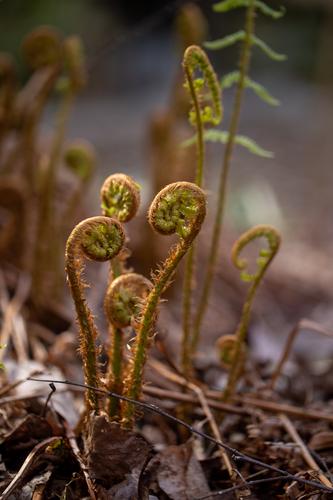 blog photo titled returners