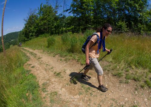 blog photo titled making