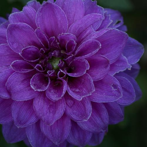 blog photo titled october