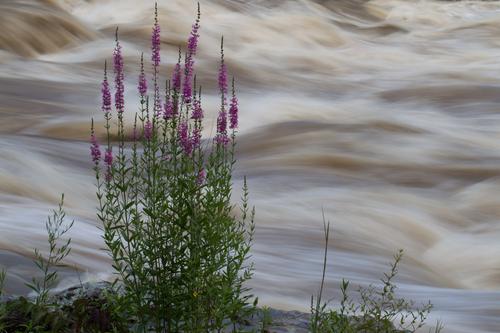 blog photo titled turbid