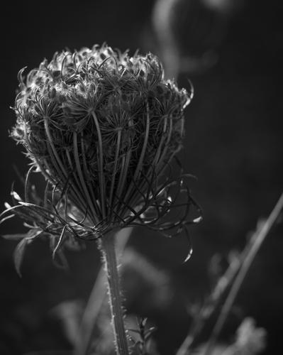 blog photo titled unleash