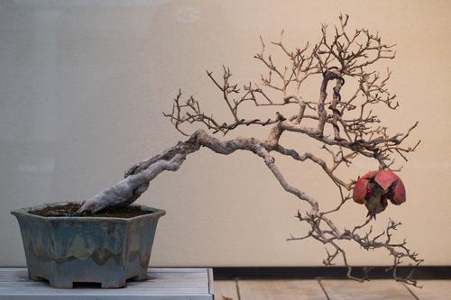 blog photo titled annalist