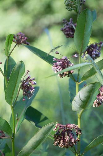 blog photo titled negative