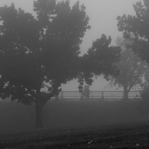 blog photo titled opacity