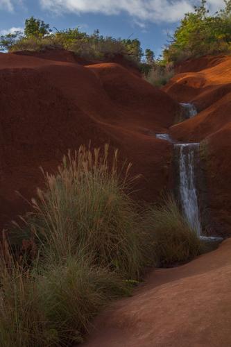 blog photo titled echoed