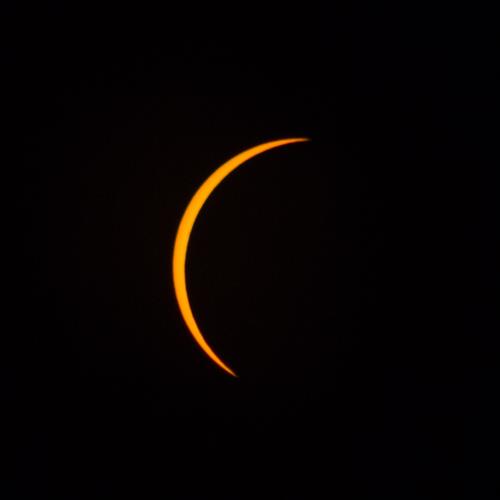 blog photo titled pivot