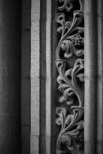 blog photo titled curlicues