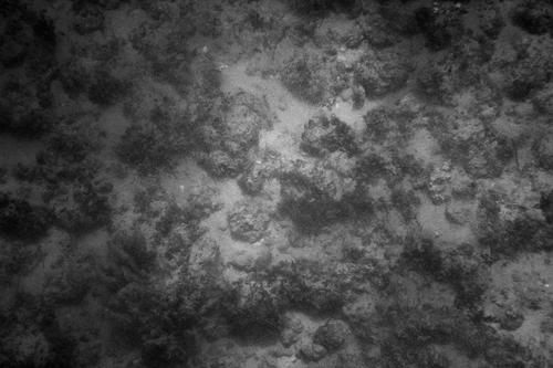 blog photo titled depths