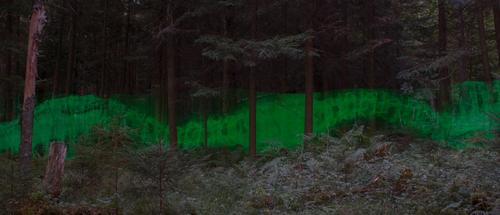 blog photo titled terrifying