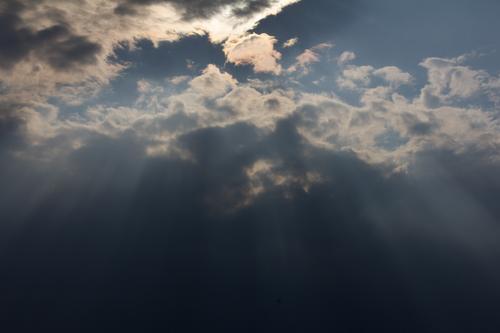 blog photo titled boss