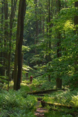 blog photo titled reminded