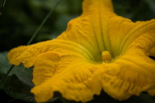 blog photo titled holdover