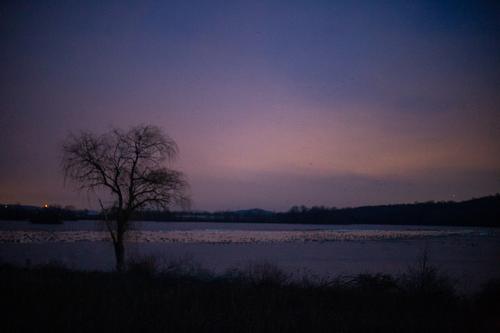 blog photo titled cozycuddles