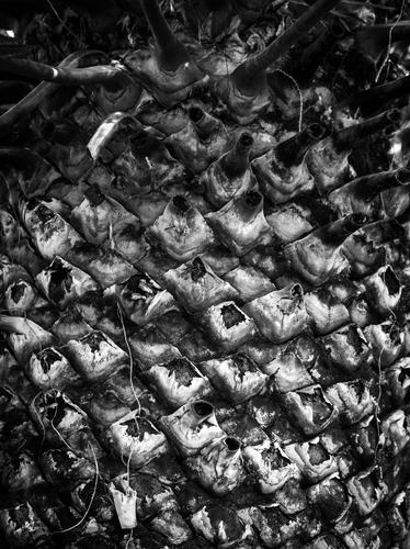 blog photo titled quoz