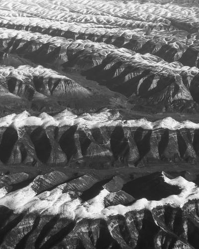 blog photo titled molars