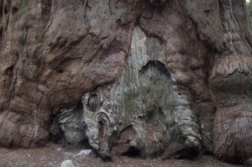 blog photo titled solace