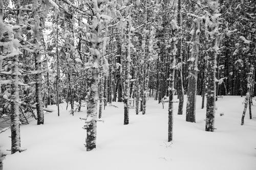 blog photo titled tenet